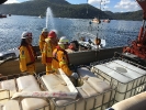2016 Fire boat exercise